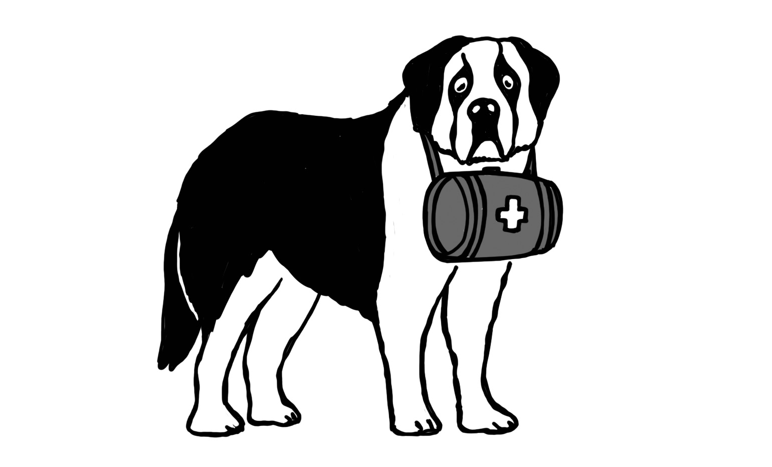 Ein Wochenende mit Bernhardinern